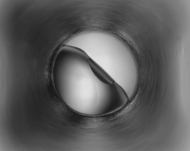 X0000089361210200706150816
