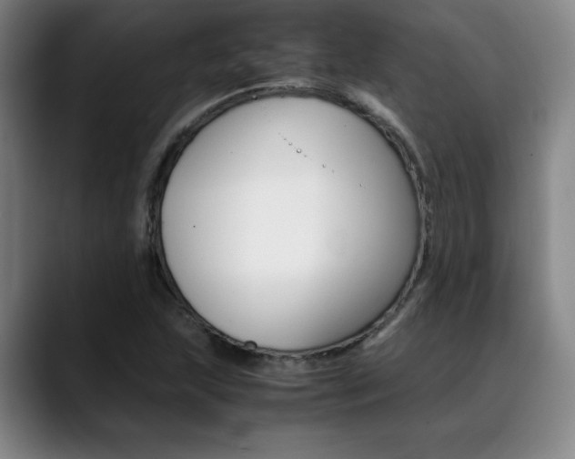 X0000089361215200706150816