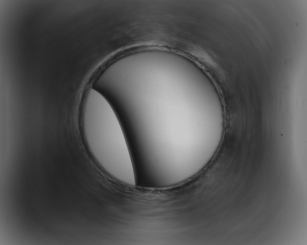 X0000089361216200706150816