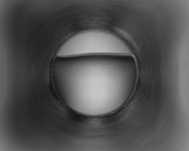 X0000089361217200706150816