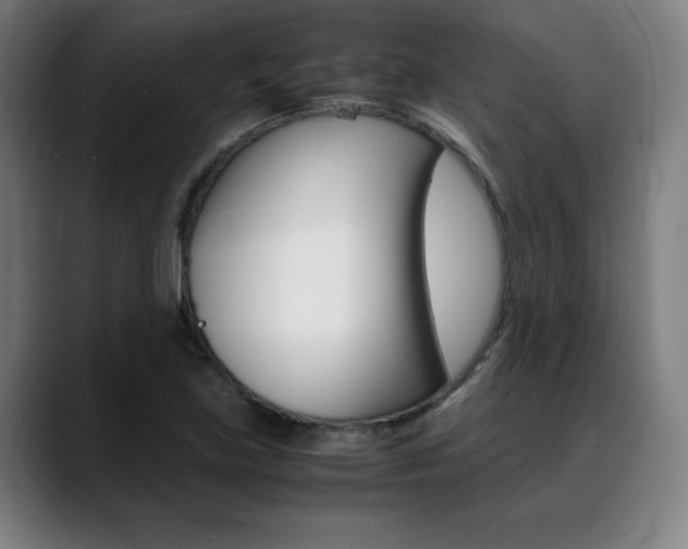 X0000089361219200706150816