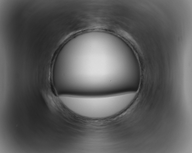 X0000089361220200706150816