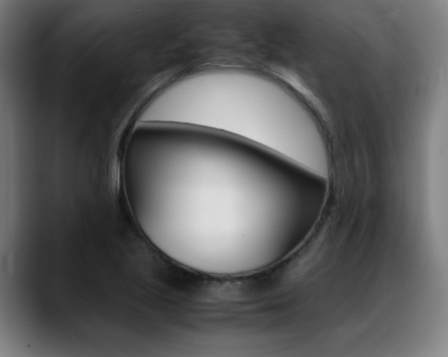 X0000089361221200706150816