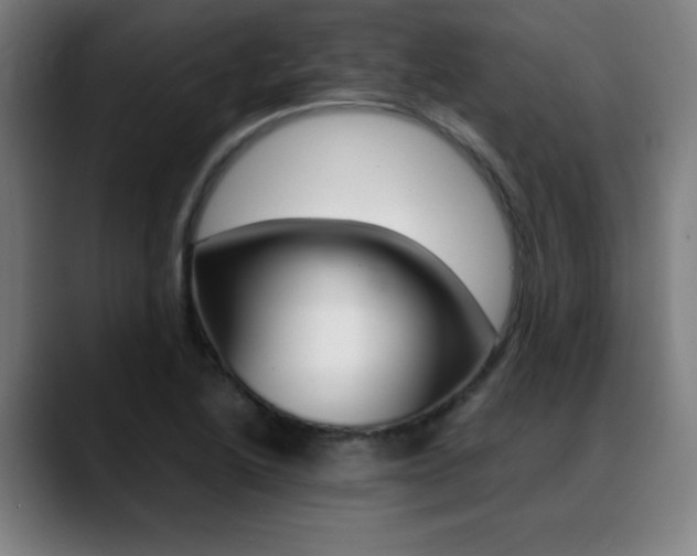 X0000089361222200706150816