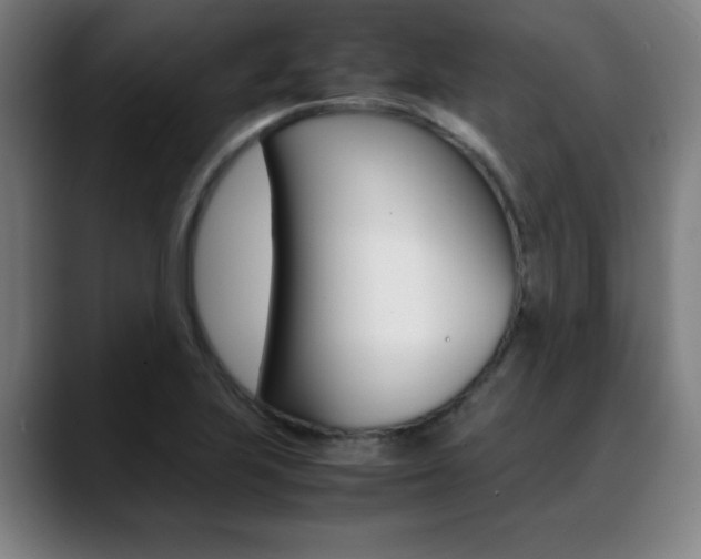 X0000089361223200706150816