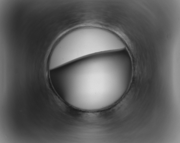 X0000089361224200706150816