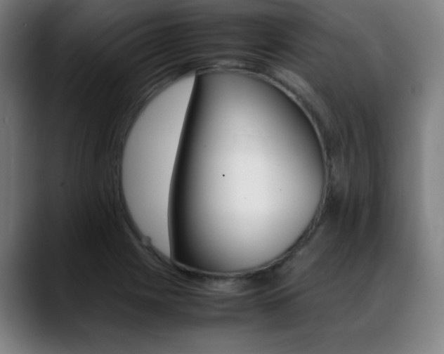 X0000089361225200706150816