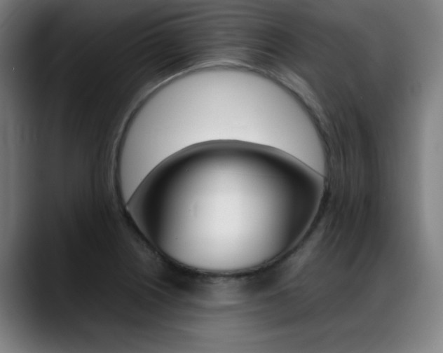 X0000089361226200706150816