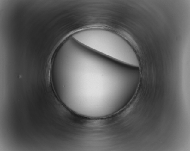 X0000089361228200706150816