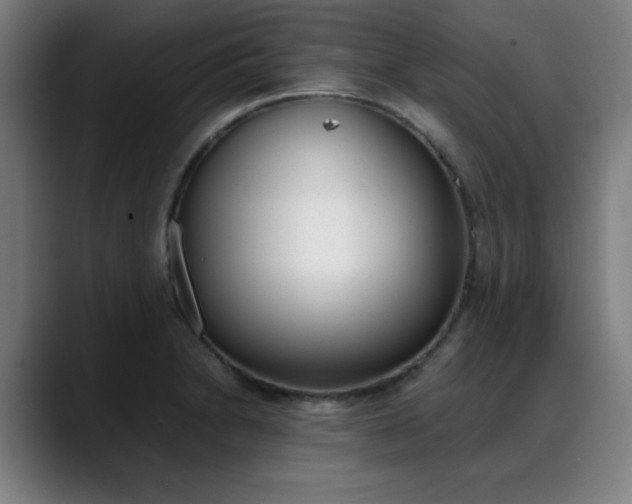 X0000089361230200706150816