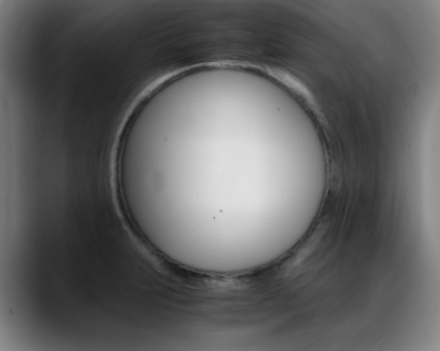 X0000089361231200706150816