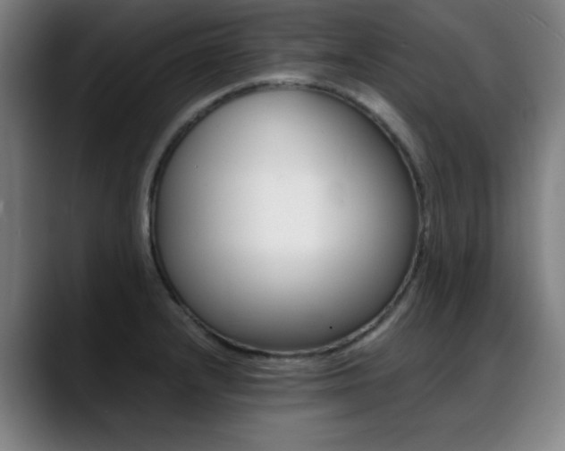 X0000089361232200706150817