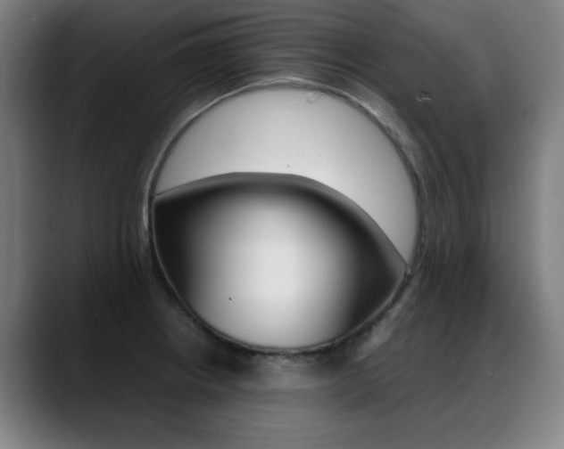 X0000089361234200706150817