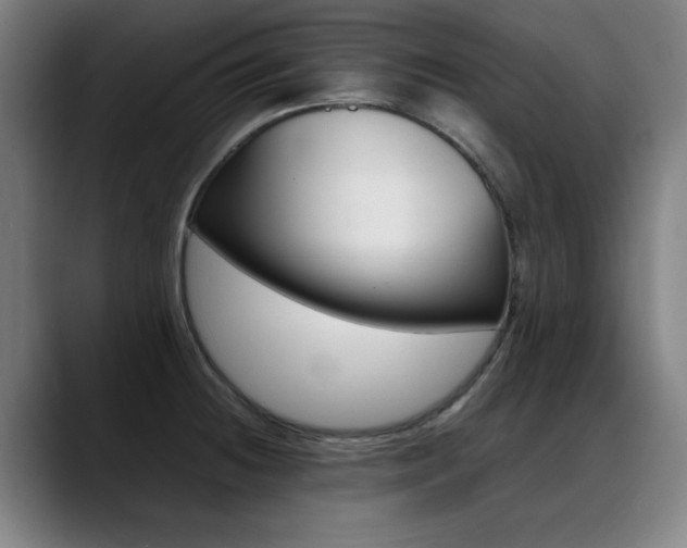 X0000089361236200706150817