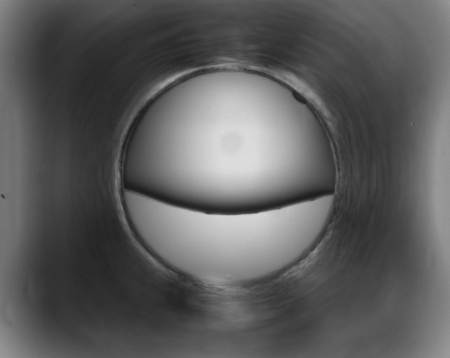 X0000089361239200706150817