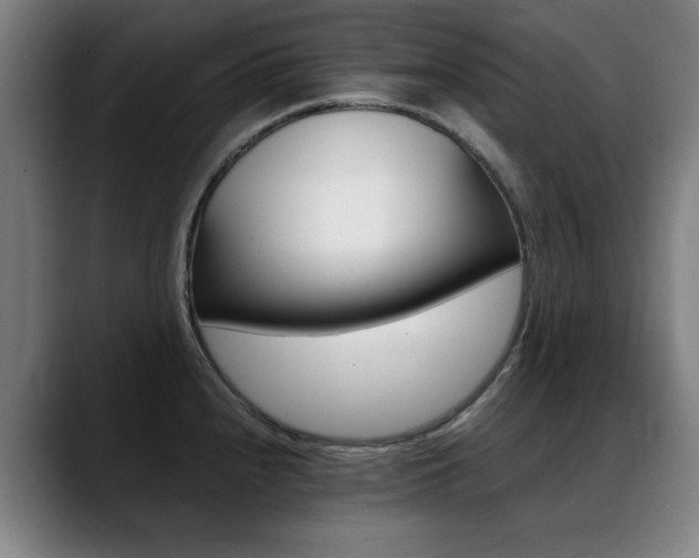 X0000089361240200706150817