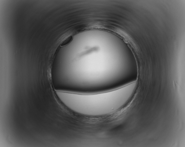 X0000089361241200706150817