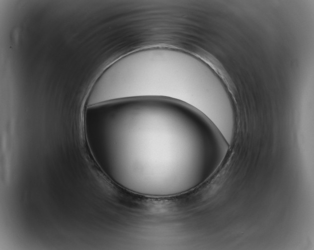 X0000089361242200706150817