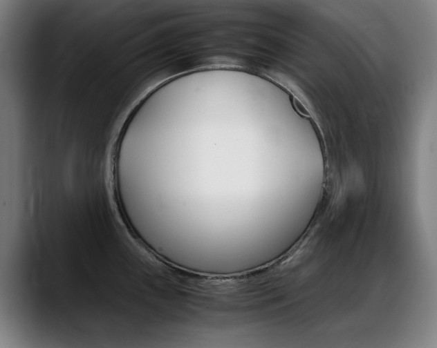 X0000089361243200706150817