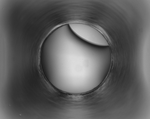 X0000089361244200706150817