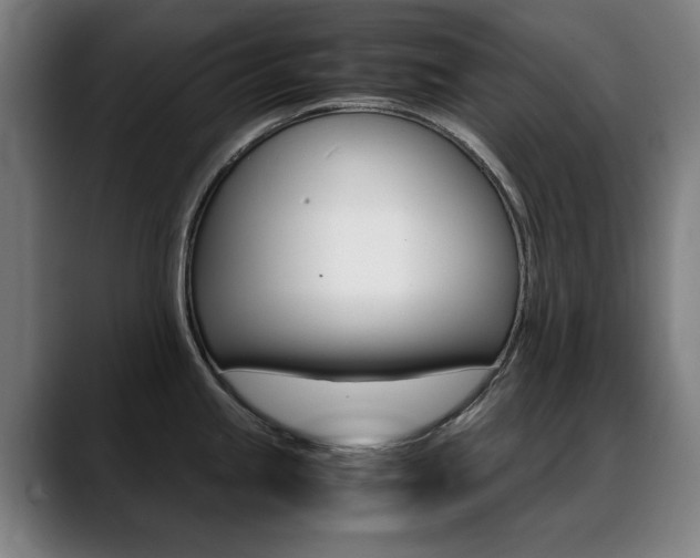 X0000089361245200706150817