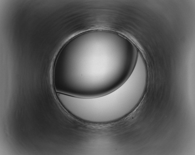 X0000089361246200706150817