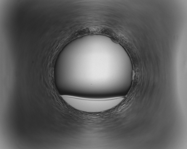 X0000089361249200706150816