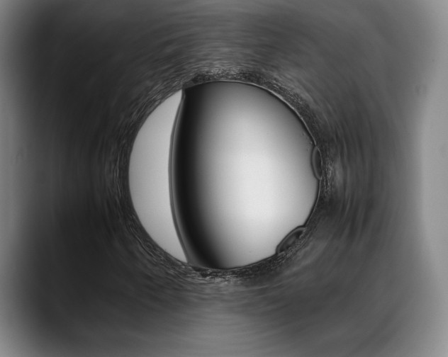 X0000089361250200706150816