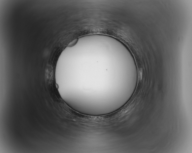X0000089361251200706150816