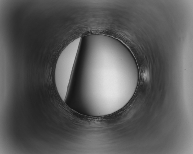 X0000089361252200706150816