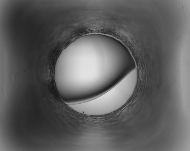 X0000089361253200706150816