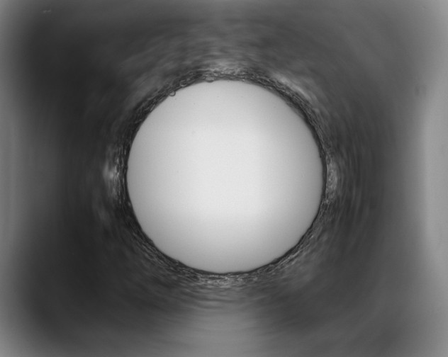 X0000089361254200706150816