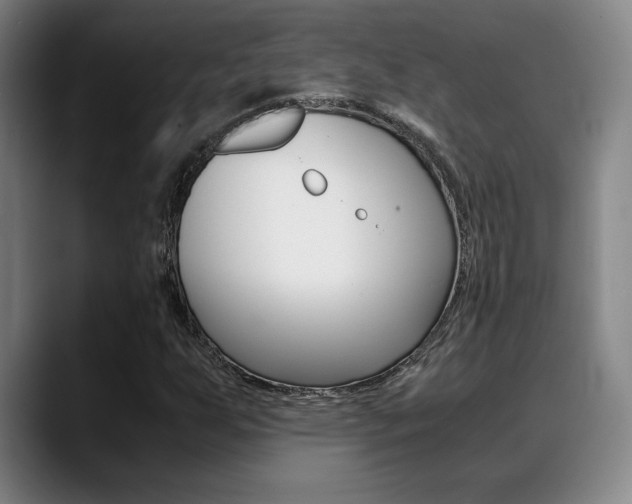 X0000089361255200706150816