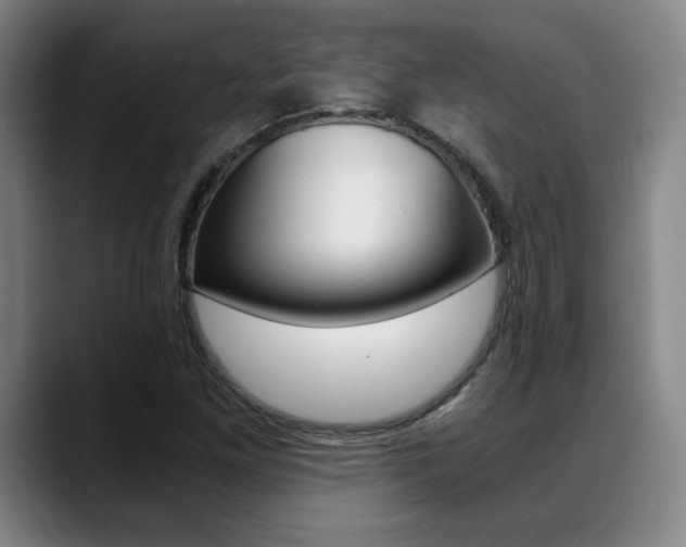 X0000089361261200706150816