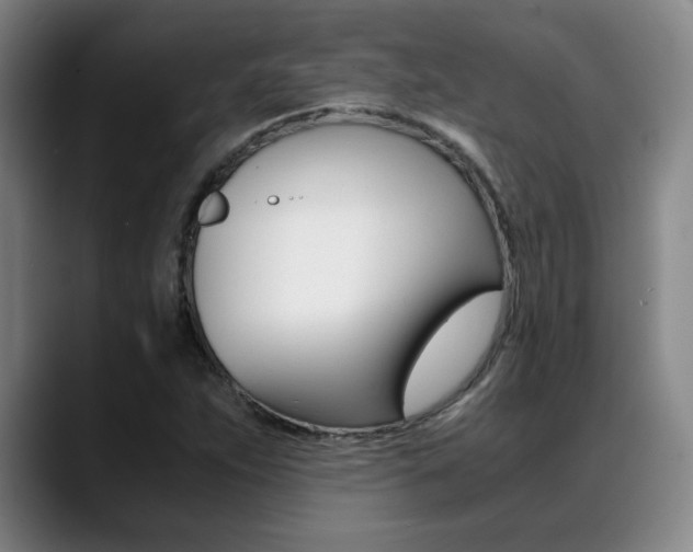 X0000089361263200706150816
