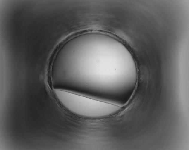 X0000089361264200706150816