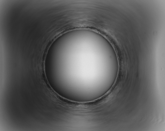 X0000089361265200706150816
