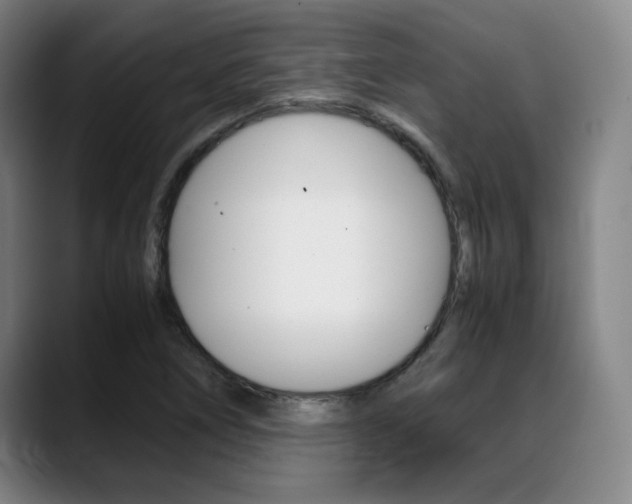 X0000089361266200706150816