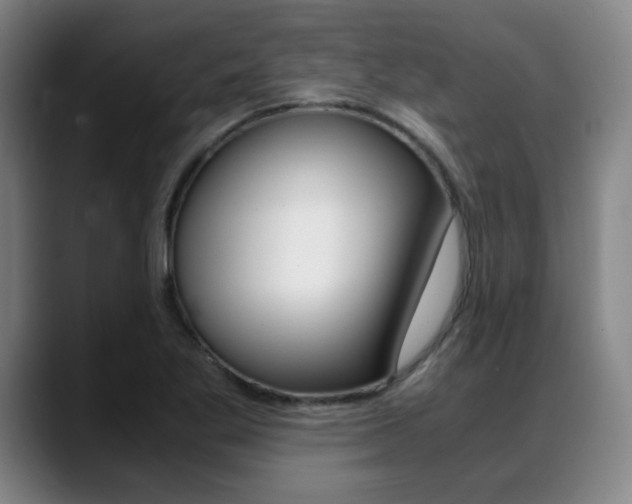 X0000089361269200706150816