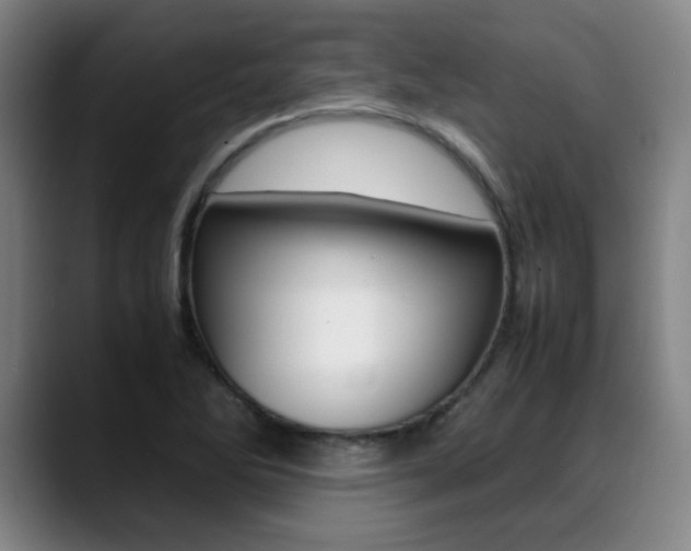 X0000089361270200706150816