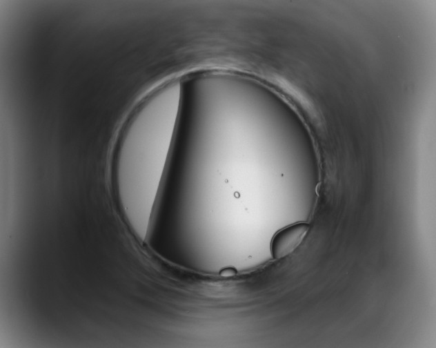 X0000089361272200706150816