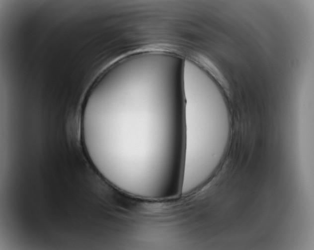 X0000089361276200706150816