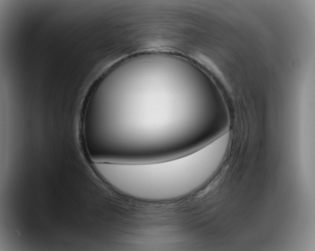 X0000089361277200706150816
