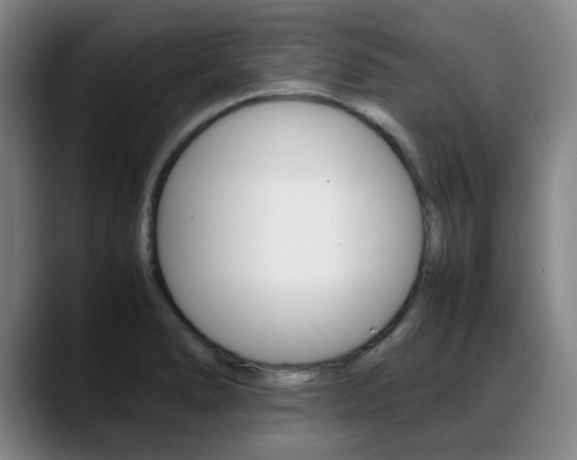 X0000089361278200706150816