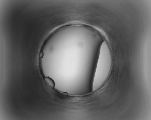 X0000089361279200706150816