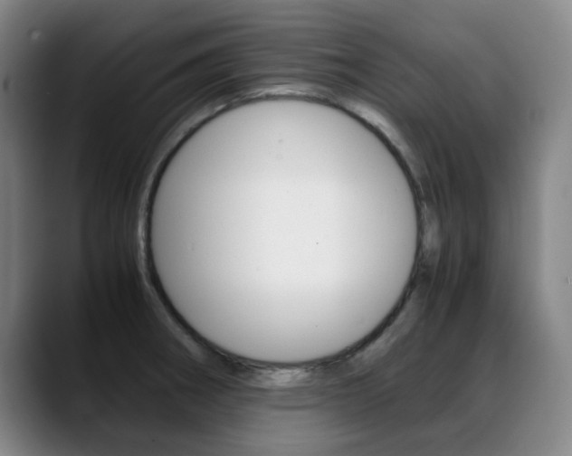 X0000089361282200706150816
