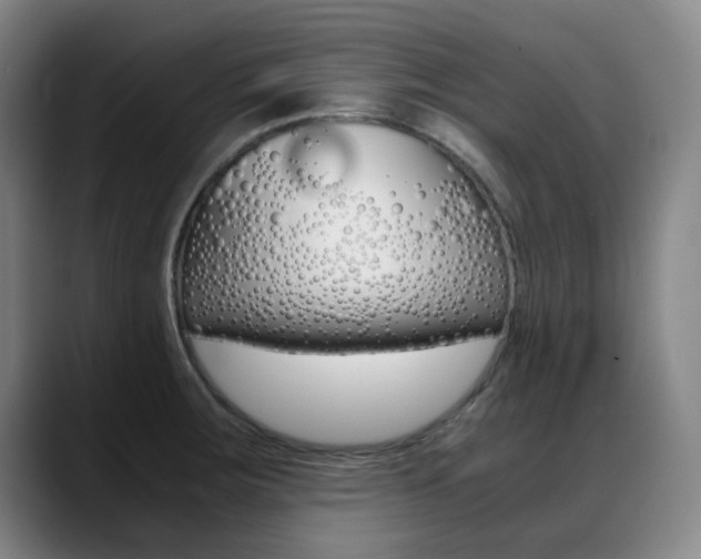 X0000089361283200706150816