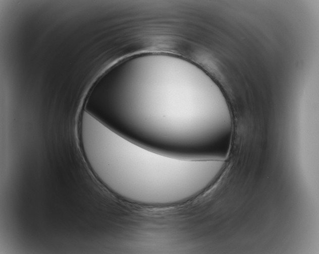 X0000089361284200706150816