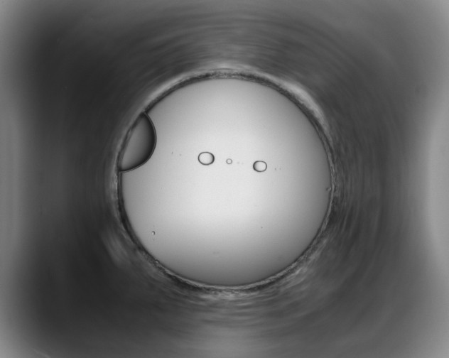 X0000089361287200706150816