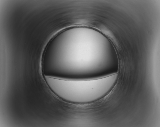 X0000089361288200706150816